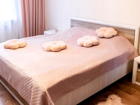 квартира по адресу Балтийский пер., 5