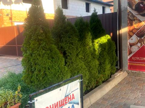 комерційна за адресою Назарія Яремчука вул., 14