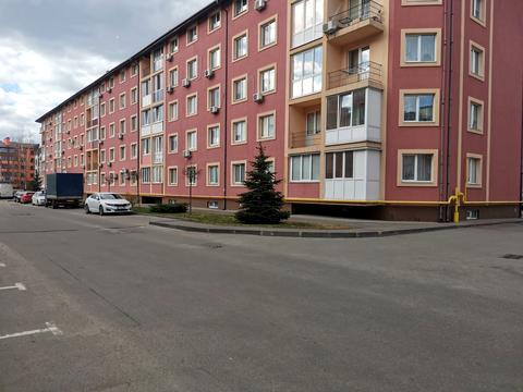 квартира по адресу Счастливая ул., 55