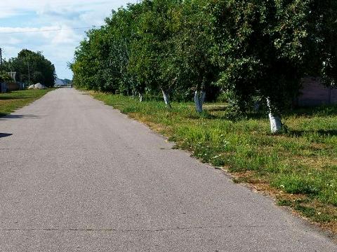 ділянка за адресою Першотравнева