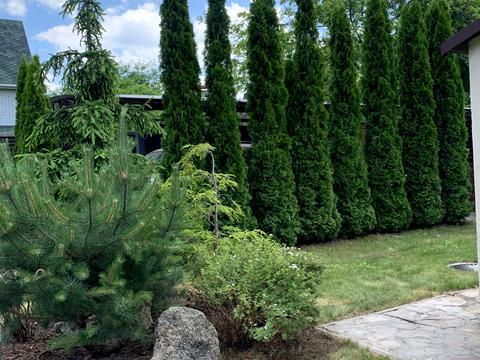 дом по адресу Центральная ул.