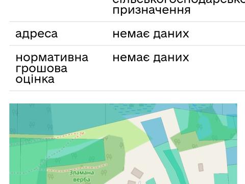 ділянка за адресою Лесі Українки, 42