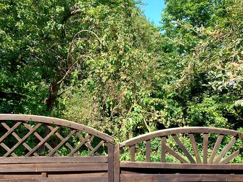 дом по адресу Тираспольская ул., 43