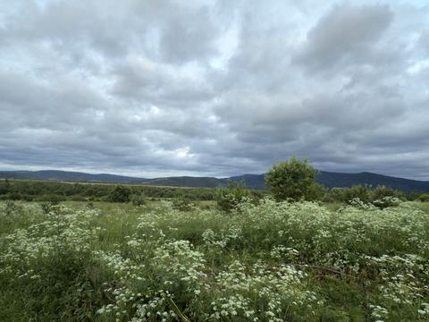 ділянка за адресою Січових Стрільців