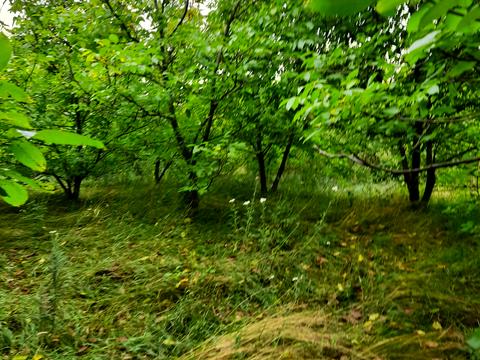 будинок за адресою Центральна
