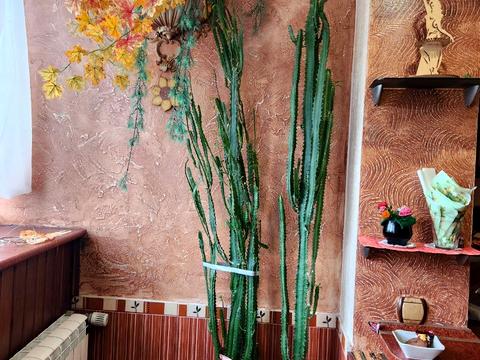 квартира за адресою Академіка Глушкова просп., 24