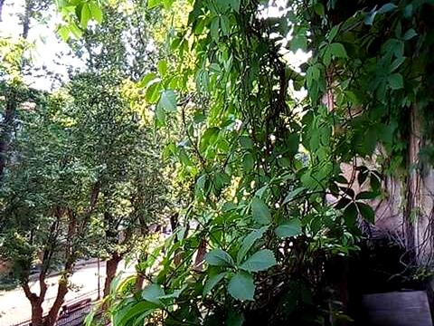 квартира за адресою Степана Бандери вул. (), 20
