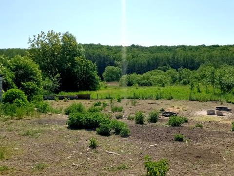 ділянка за адресою Леніна, 101