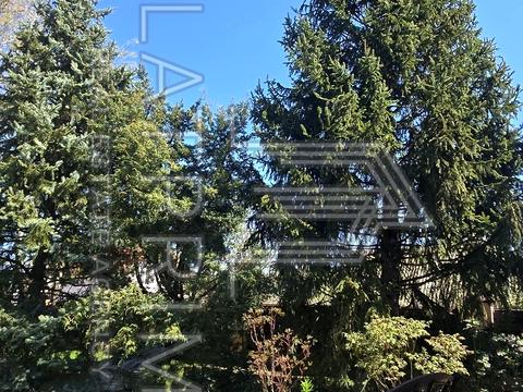 будинок за адресою с/т Лісник, 20