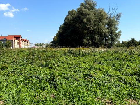 участок по адресу Журавлина