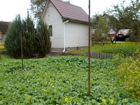 дом по адресу Чернигов, Теробороны ул.