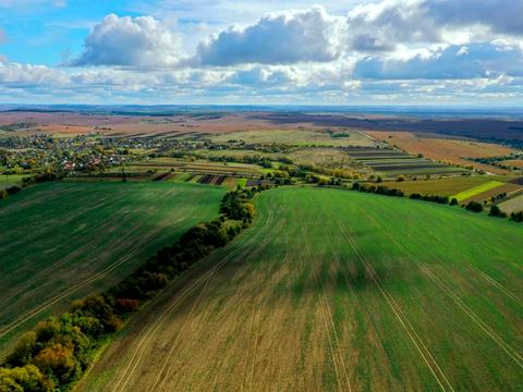 ділянка за адресою Новий Розділ, урочище Фецаковка