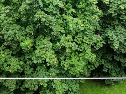 квартира по адресу Каховская ул., 15