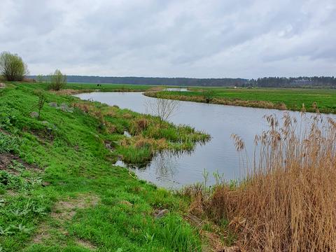 ділянка за адресою Садова, 8