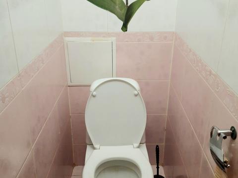 квартира по адресу Санаторная ул., 27