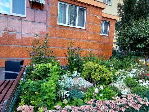 квартира за адресою Петра Калнишевського вул. (Михайла Майорова), 8