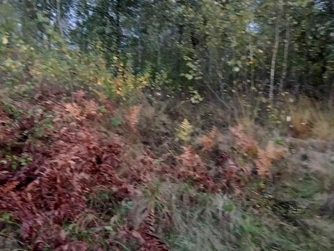 участок по адресу Лесі Українки