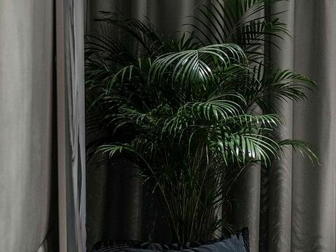 квартира за адресою Саксаганського вул., 37-К
