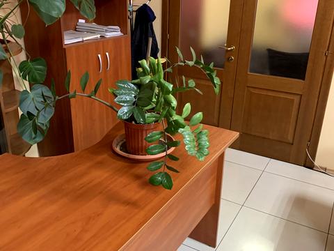 комерційна за адресою Михайлівська пл., 1