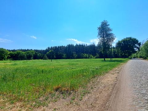ділянка за адресою Леніна