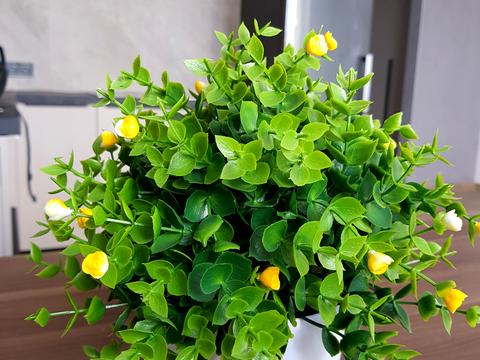 квартира за адресою Зарічна вул., 4