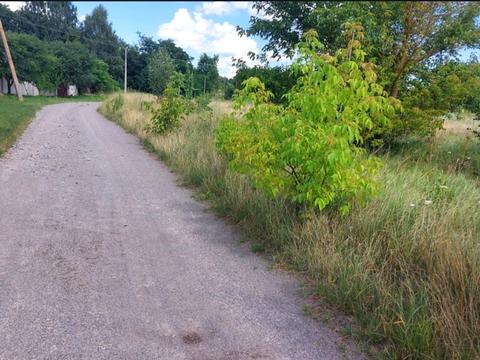 участок по адресу Миру