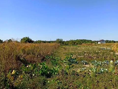 ділянка за адресою Підлісна