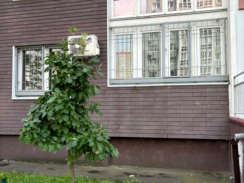 комерційна за адресою Софії Русової вул., 5-Б