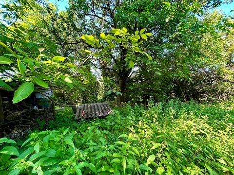 ділянка за адресою Садова, 32