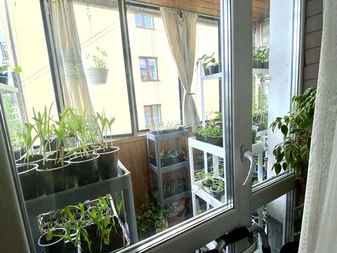 квартира за адресою Костя Левицького вул. (), 99