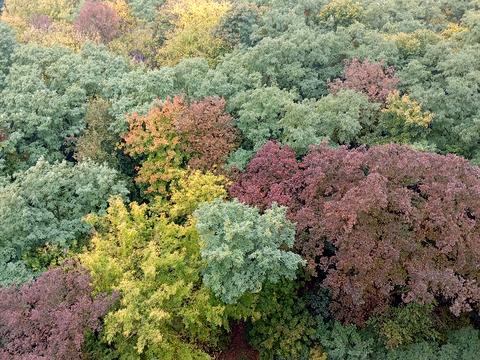 квартира за адресою Українська вул., 6