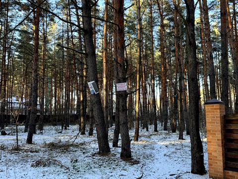 ділянка за адресою Зелена