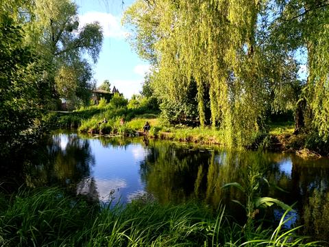 будинок за адресою Зарічна вул. (Народовольців)