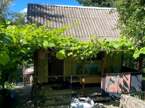 будинок за адресою Лісова