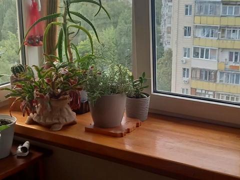 квартира за адресою Теремківська вул., 8