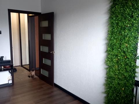 квартира за адресою Київська, 74