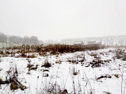 участок по адресу Раппопорта