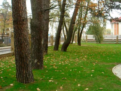дом по адресу Панаса Мирного ул., 1