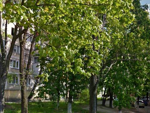квартира за адресою Петра Курінного вул. (Комісара Рикова), 5