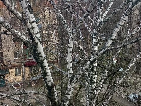 квартира по адресу Новоместенская ул., 24