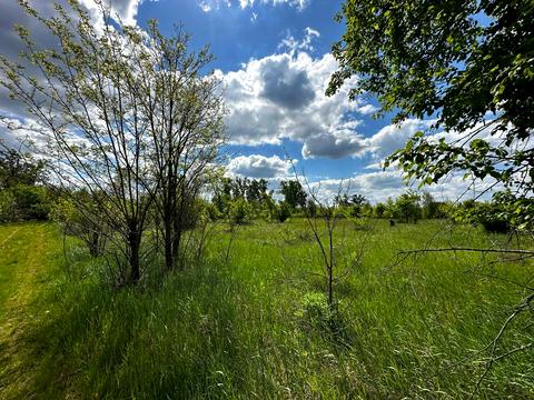 участок по адресу 