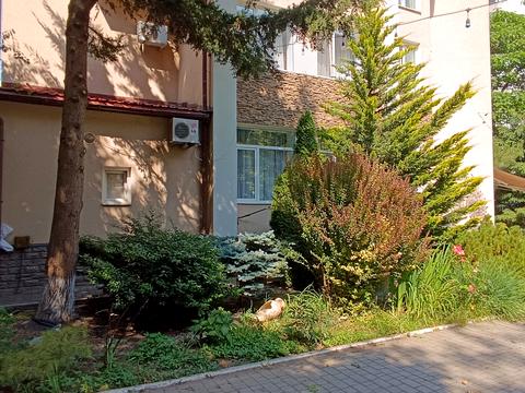 комерційна за адресою Лазурна вул. (Гайдара), 3А