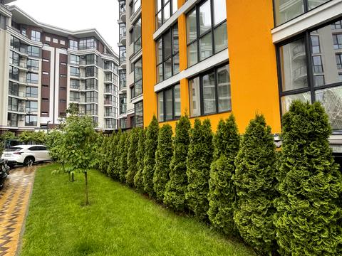 квартира по адресу Прорізна ул., 1