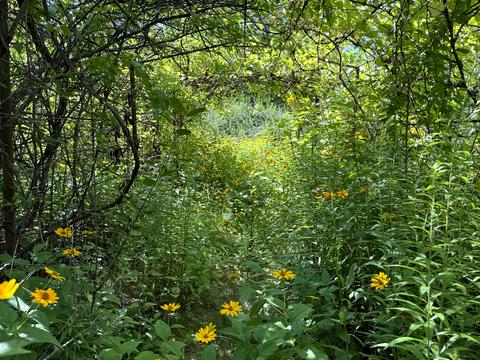 будинок за адресою Шевченко
