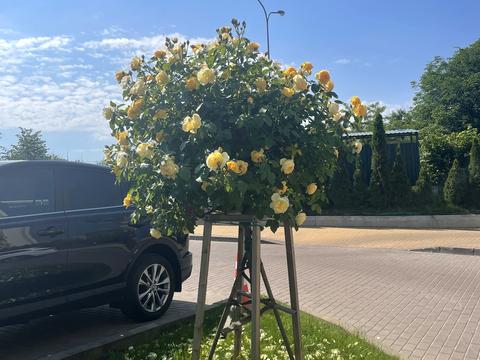 квартира за адресою Сергія Данченка вул., 8