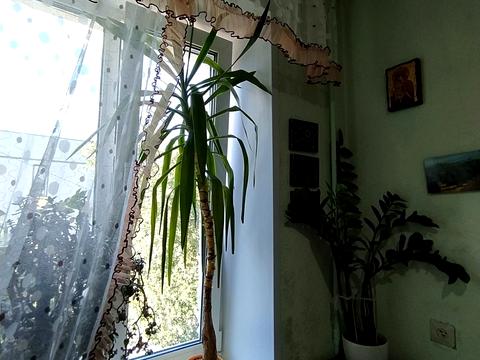 квартира за адресою Борисоглібська вул., 2