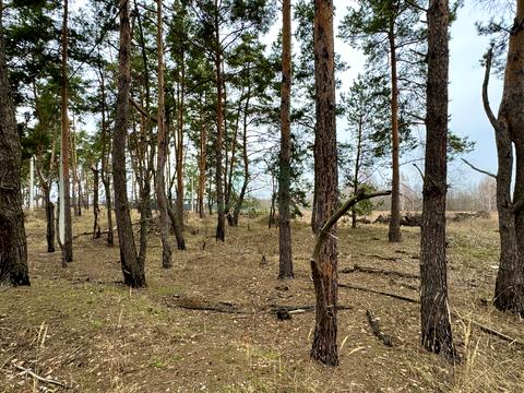 участок по адресу Левка Симиренка, 61