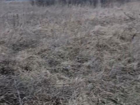 ділянка за адресою Івана Сірка, 31