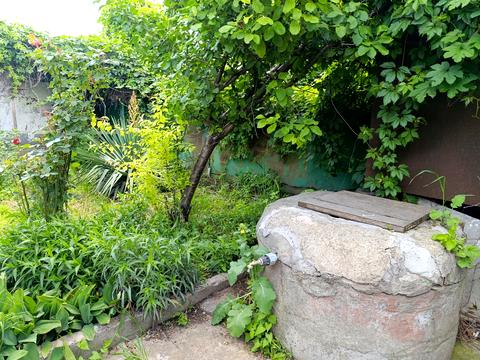 будинок за адресою Професора Коровицького вул., 70