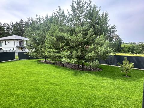 будинок за адресою с. Ходосівка, Богдана Хмельницького вул.